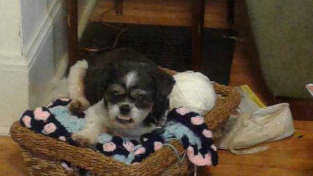 13439123_1136486803081683_2727972478528375160_n