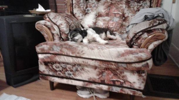 13494898_1135575926506104_8939044064930455801_n1